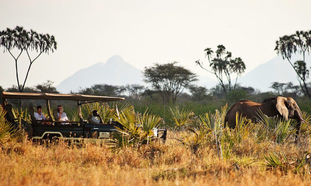 Meru National Park