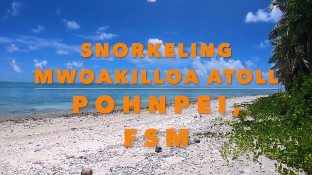 Mwoakilloa Snorkeling Adventure