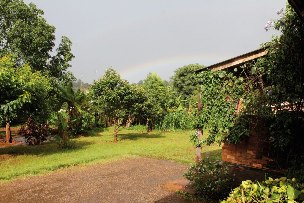 Mzuzu Botanical Gardens