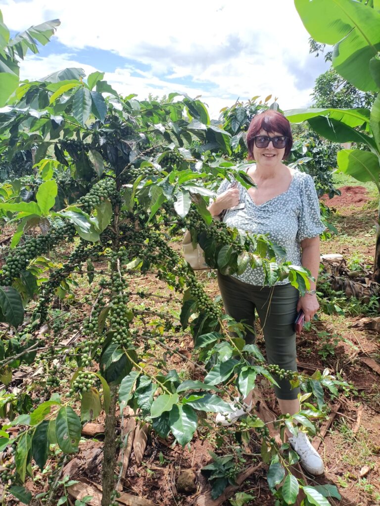 Mzuzu Coffee Plantation