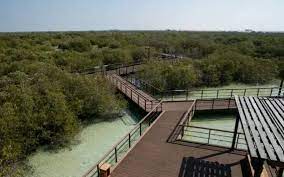 Nanwelat Mangrove Park