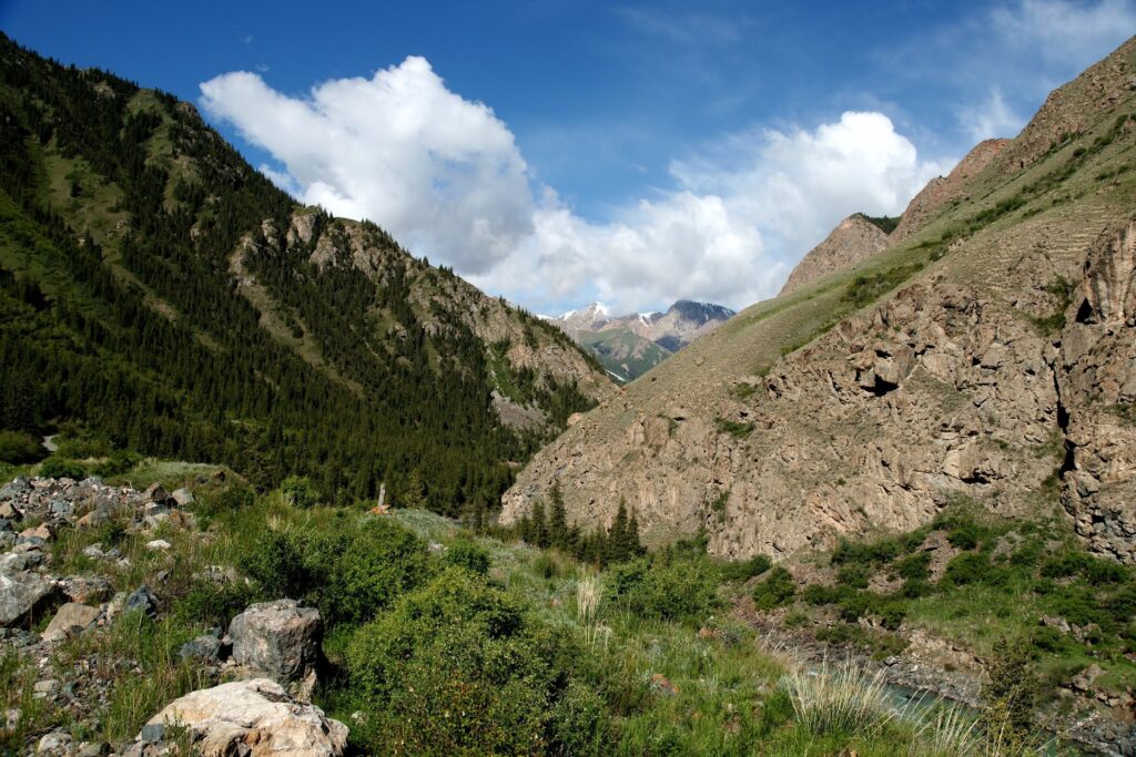 Naryn National Reserve