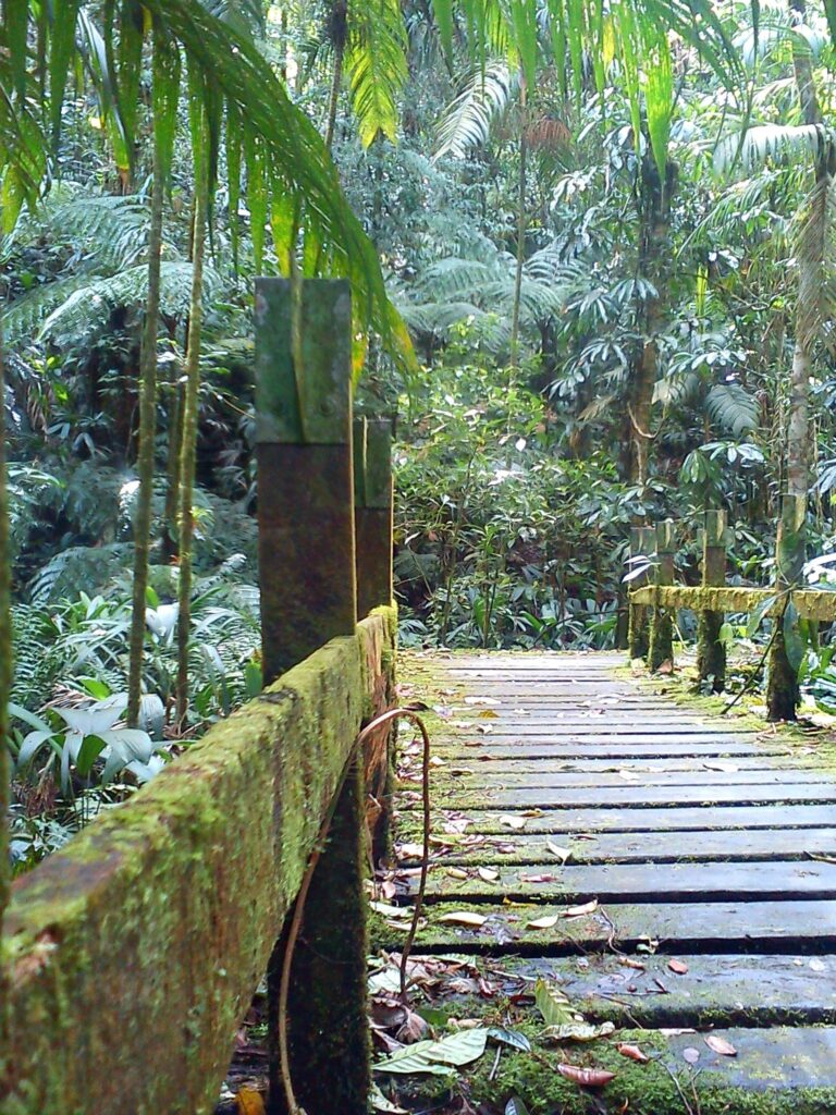 Parque Nacional Yacambu