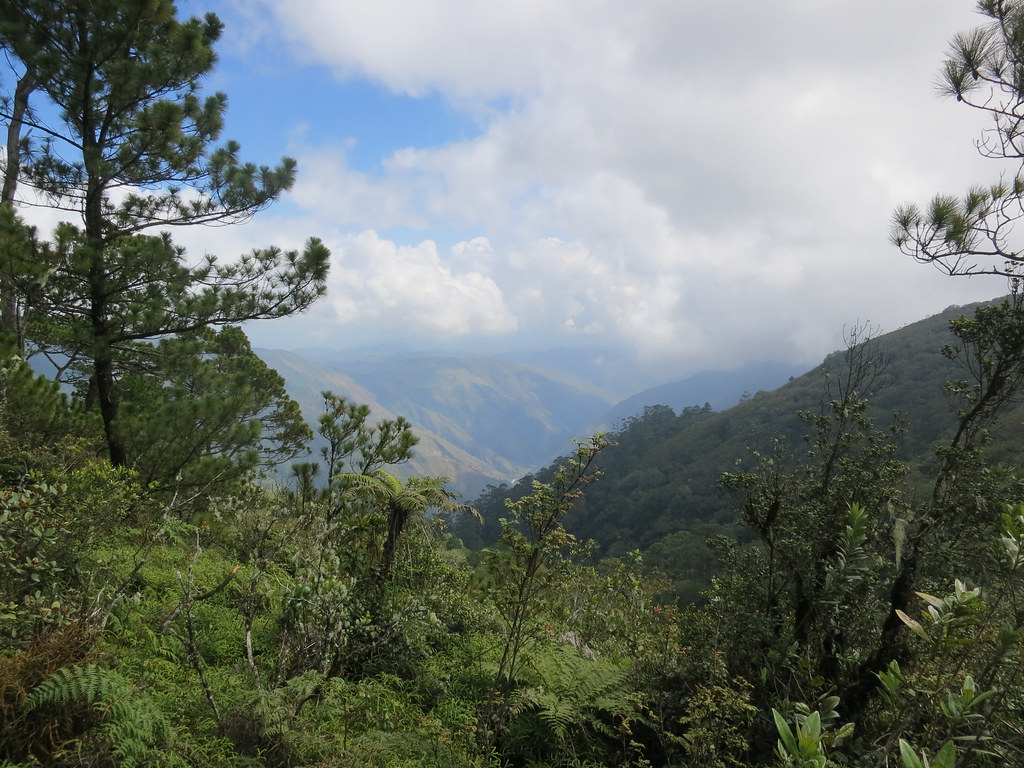 Pic Macaya National Park