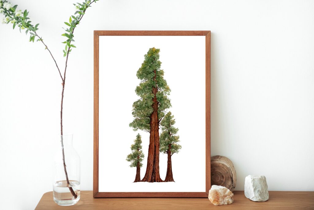 Redwood Forest Tree Art