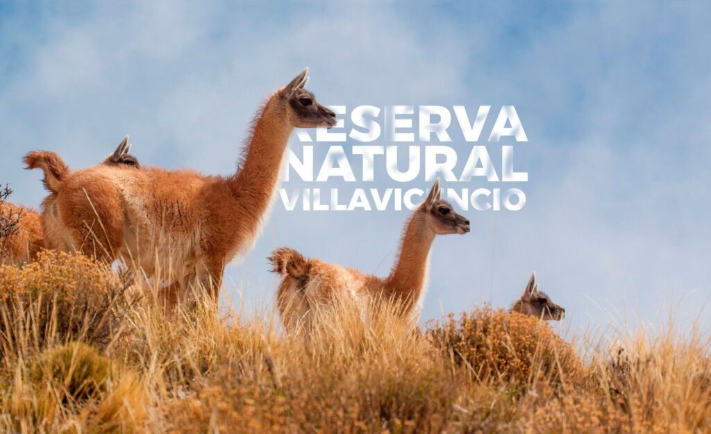 Reserva Natural Villavicencio