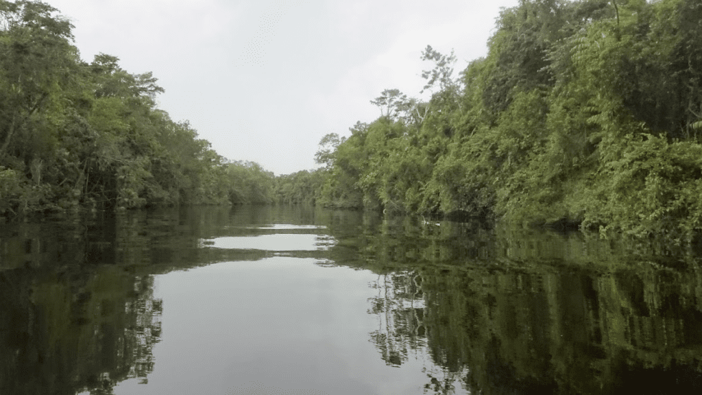 Sarstoon Temash National Park