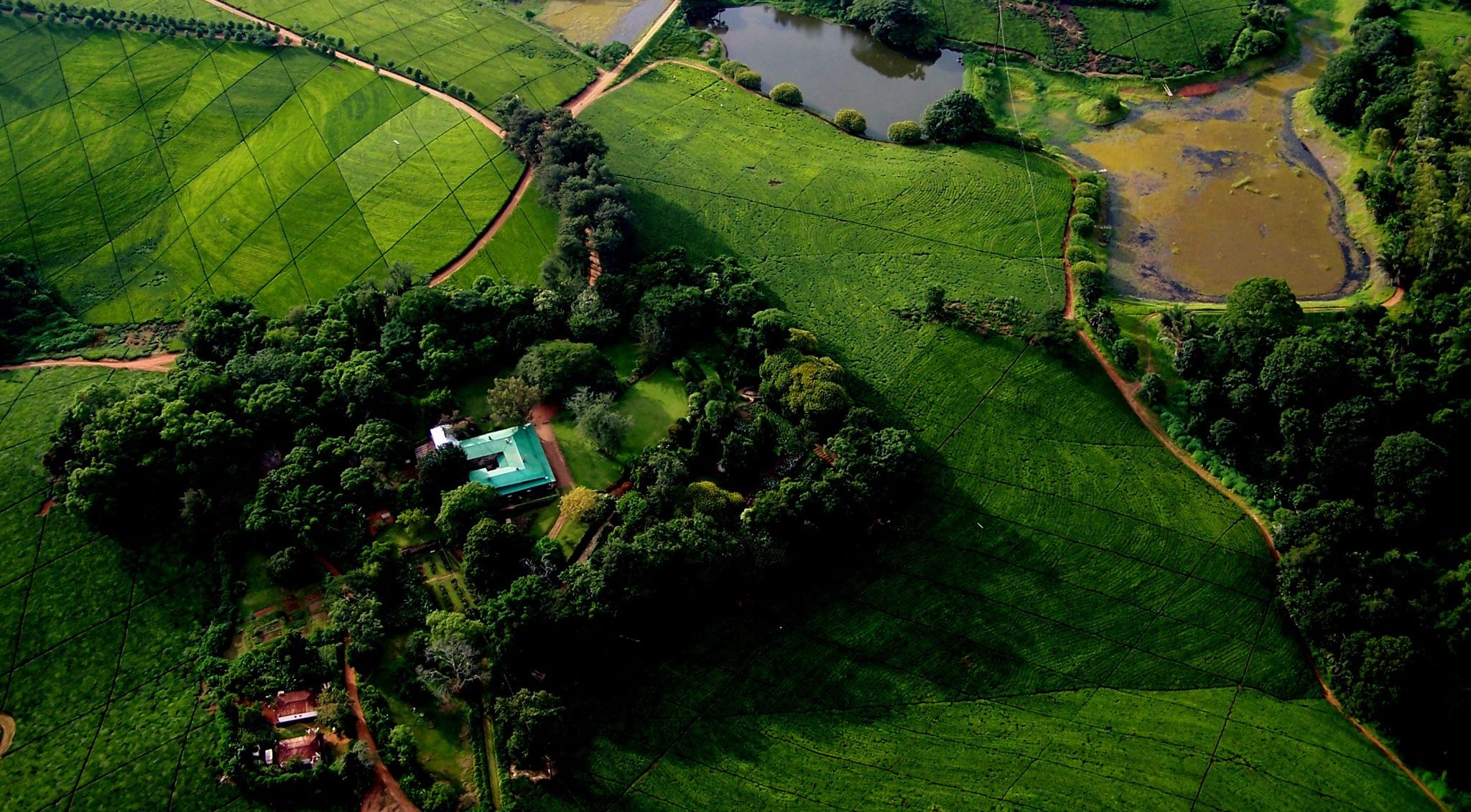 Satemwa Tea Estates Awe Inspiring Places