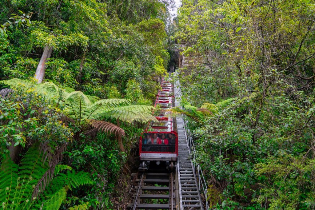 Scenic Walkway