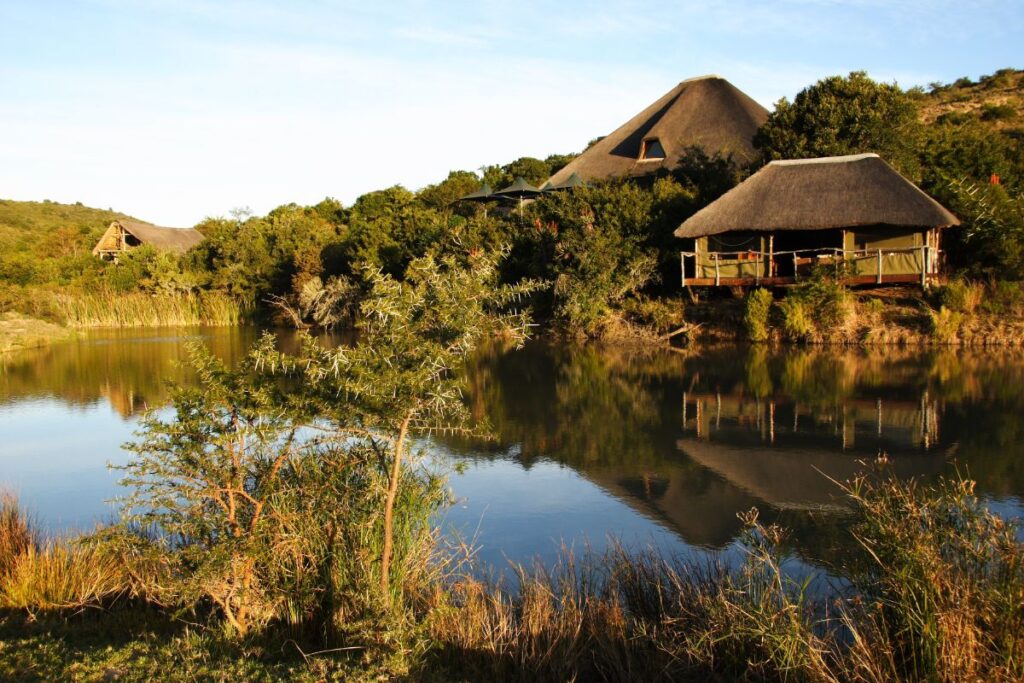 Shamwari Game Reserve