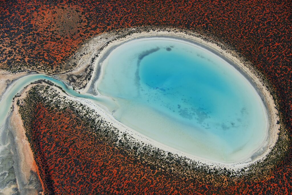 Shark Bay