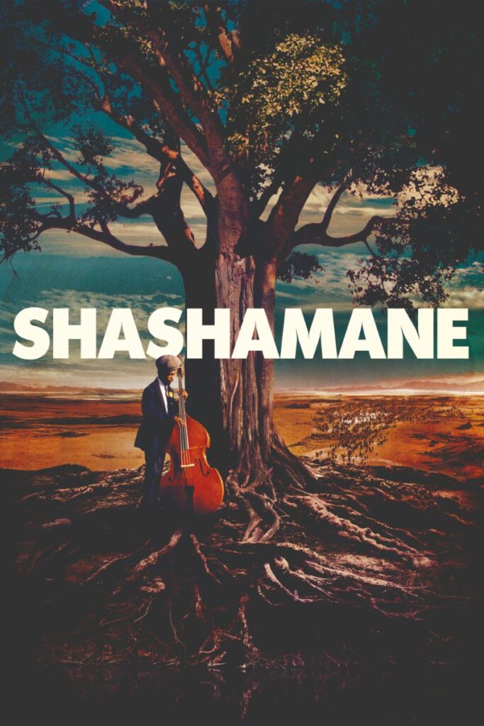 Shashamane