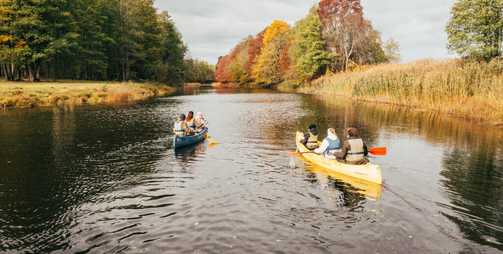 Soomaa National Park