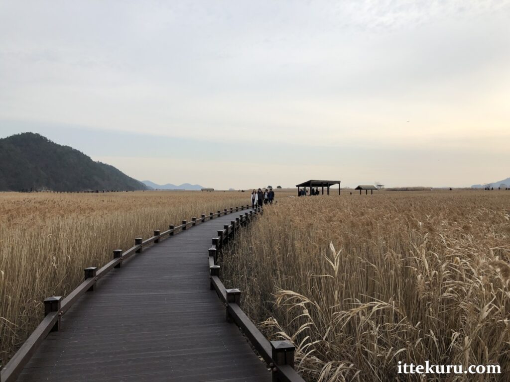 Suncheon Bay Wetland Reserve