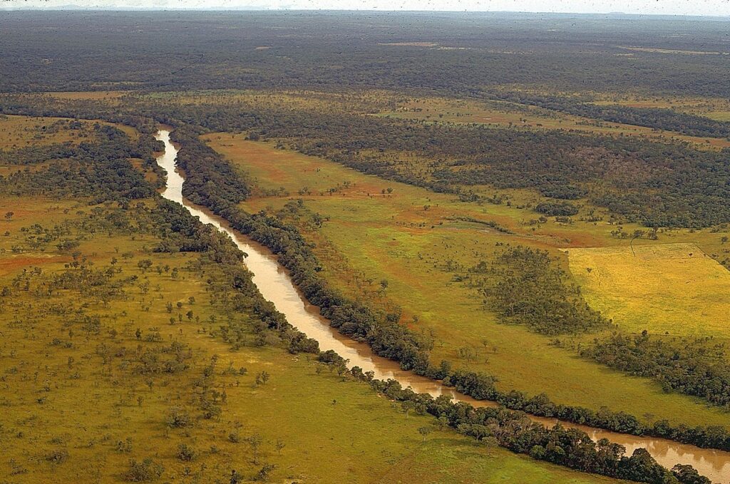 The Bandama River
