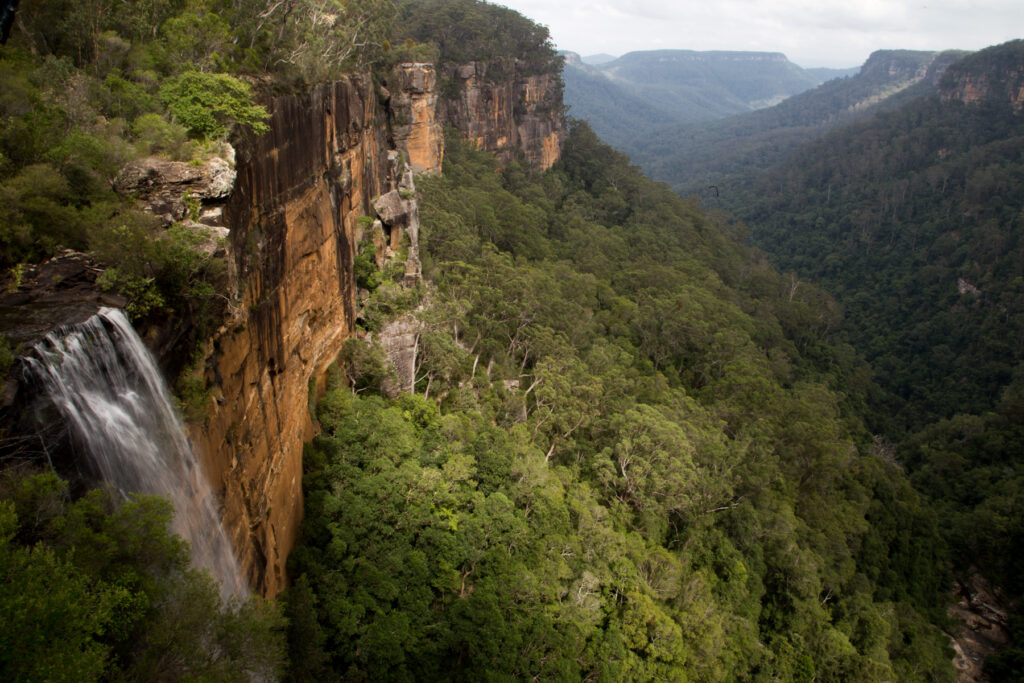 The Fitzroy Falls