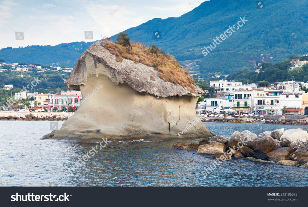 The Fungo Mushroom Rock