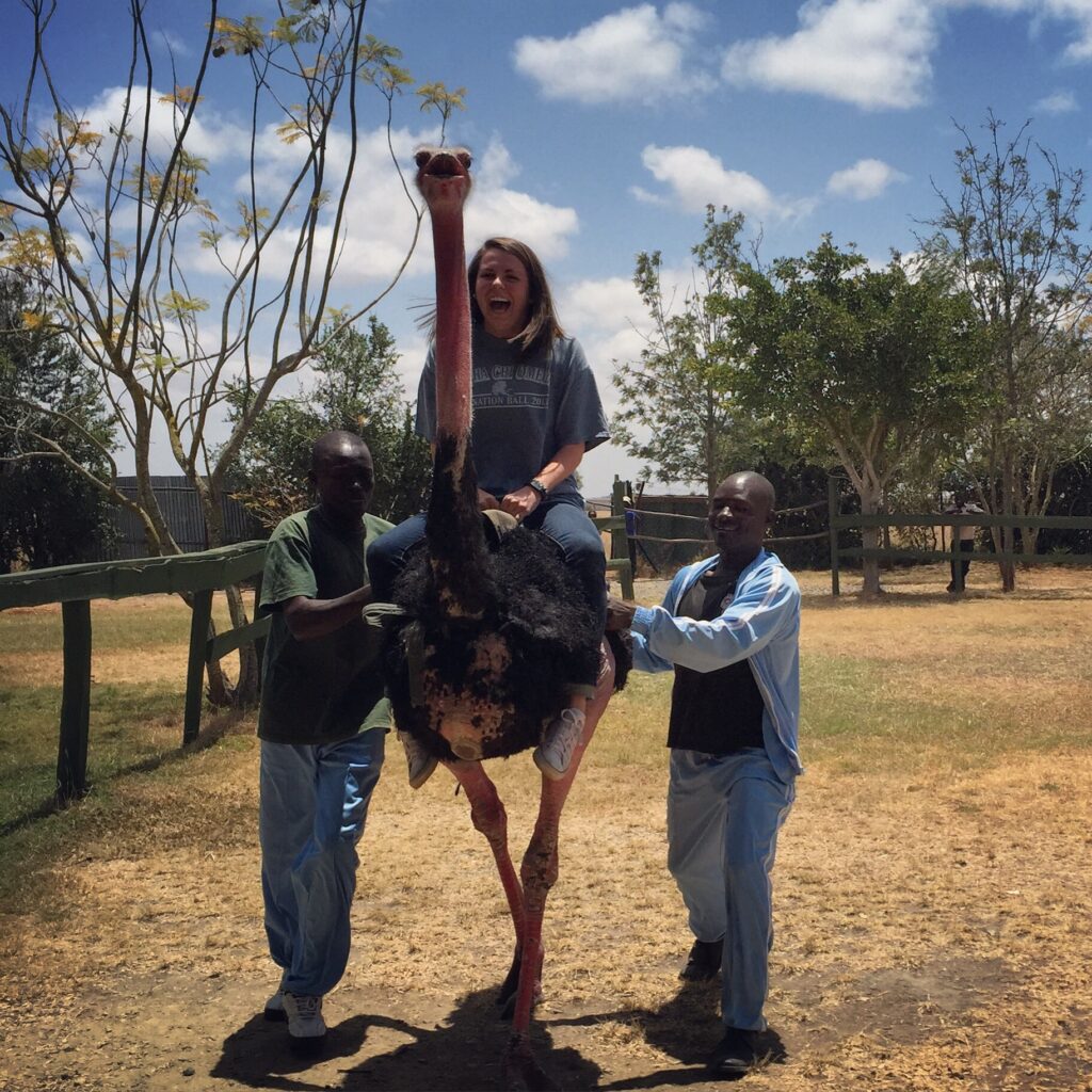 The Maasai Ostrich Farm