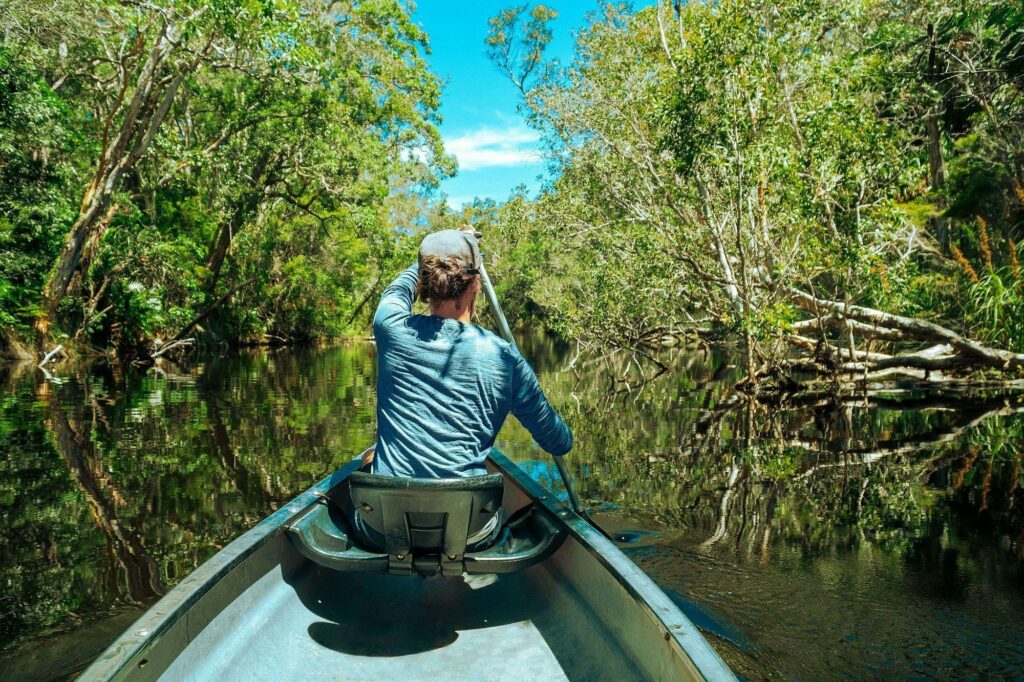 The Noosa Everglades