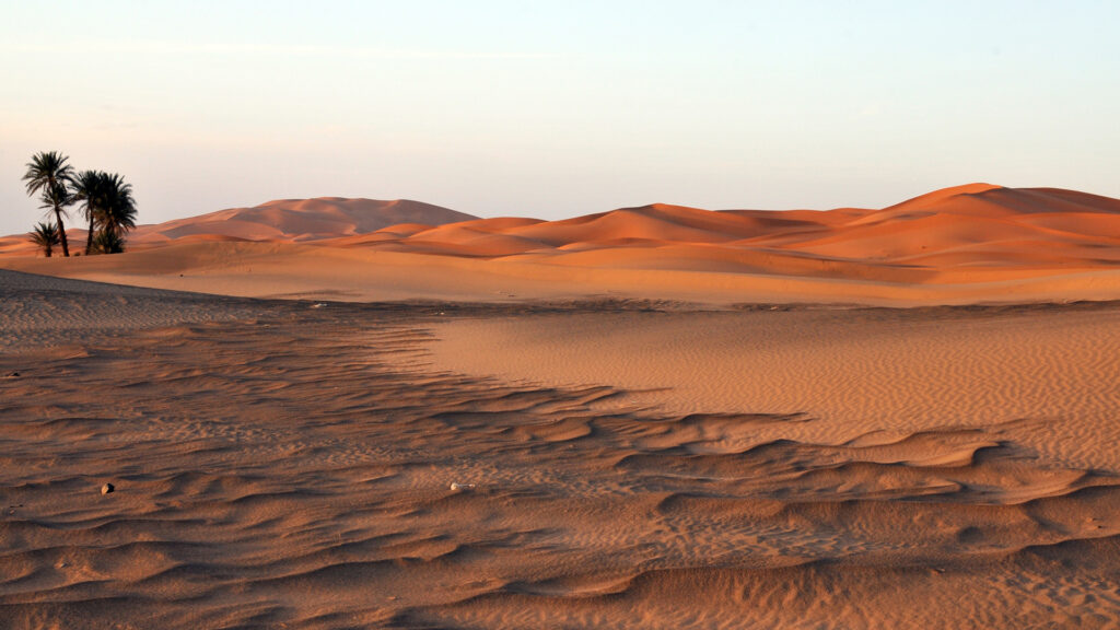 The Sahara Desert