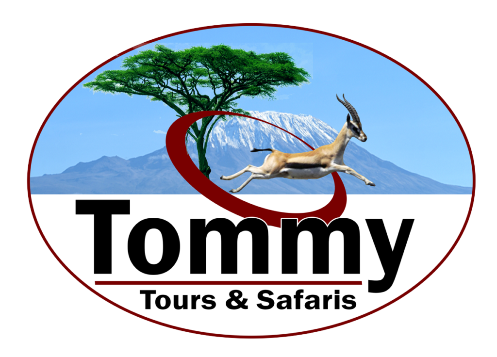 Tommy's Tours and Safaris in Walvis Bay
