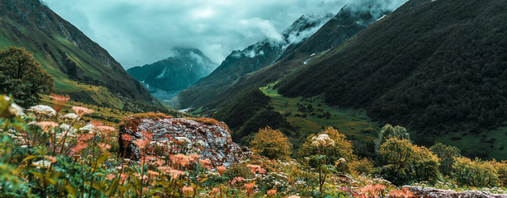 Valley of Flowers