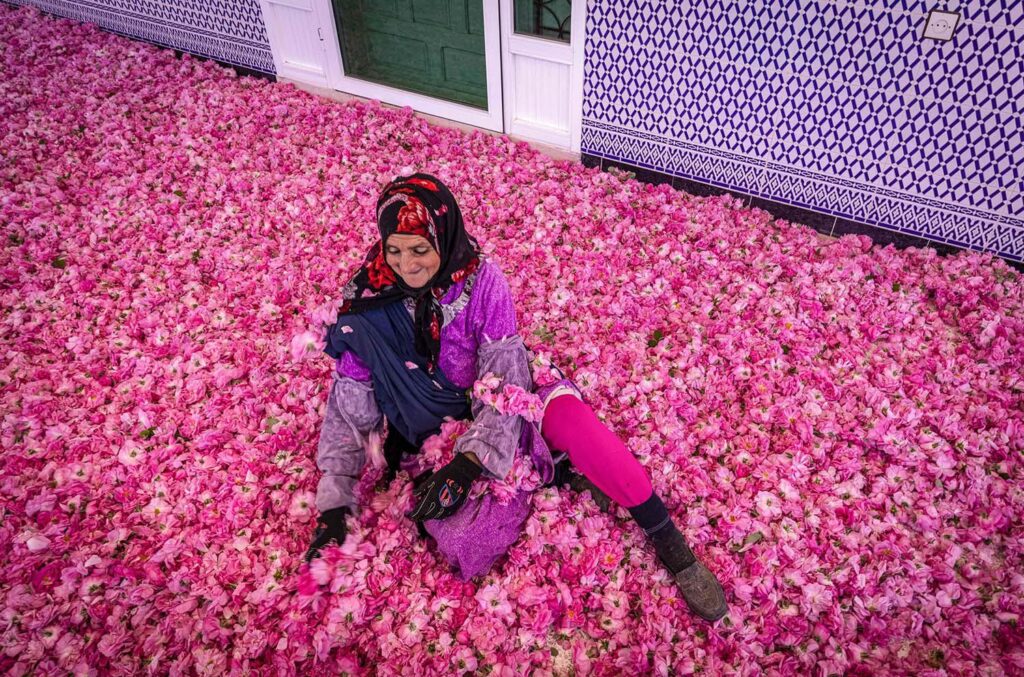 Valley of Roses