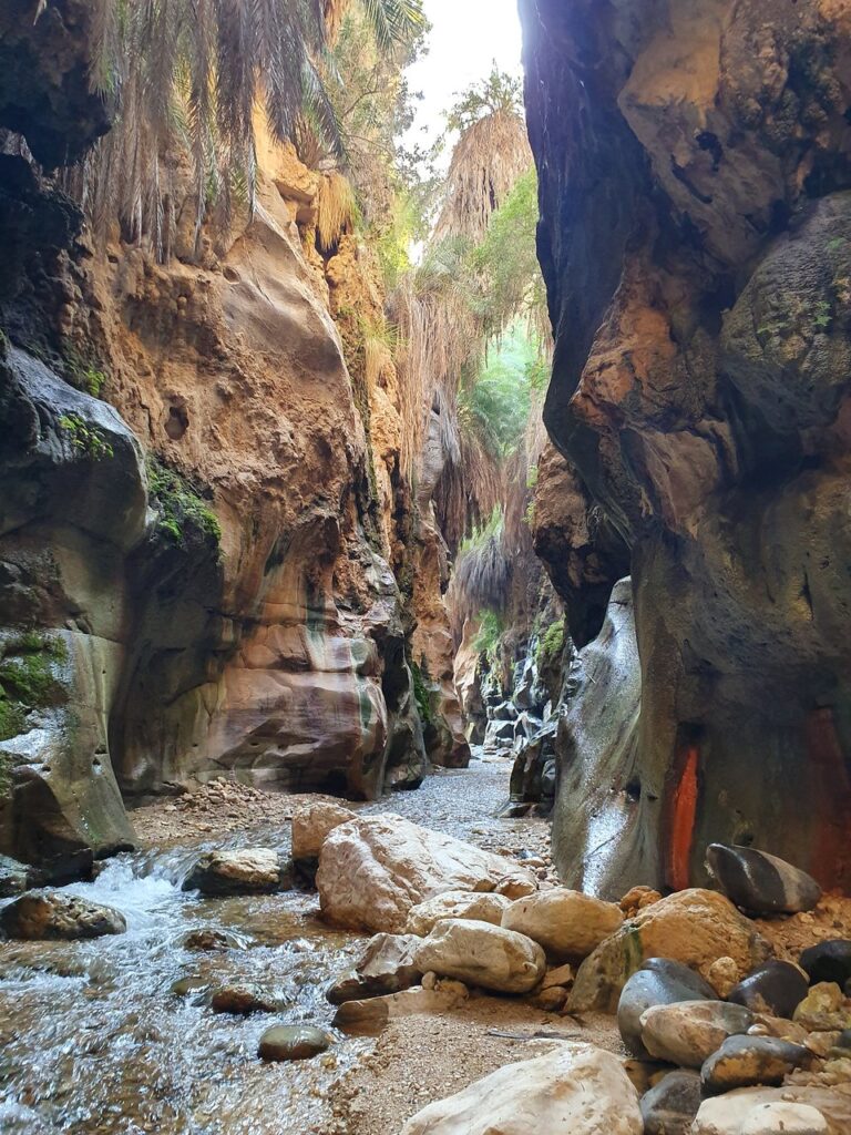 Wadi Bin Hammad