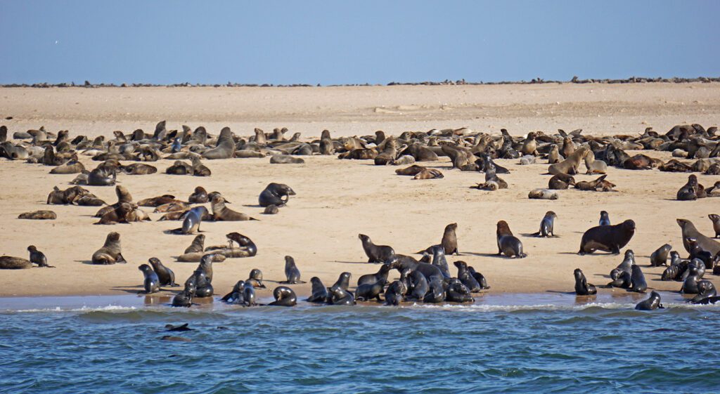 Walvis Bay