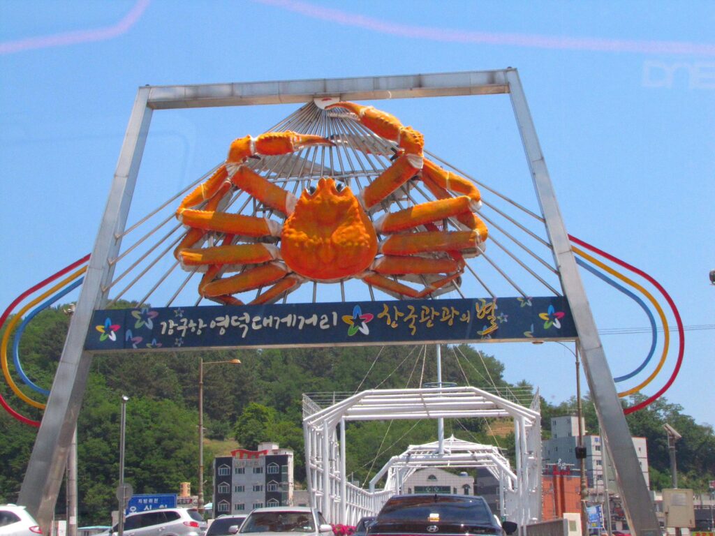 Yeongdeok Snow Crab Festival
