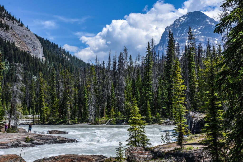 Yoho National Park