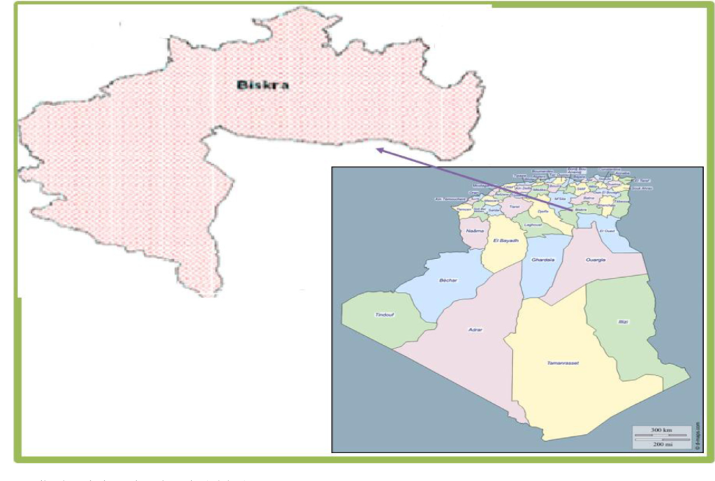 Ziban Region