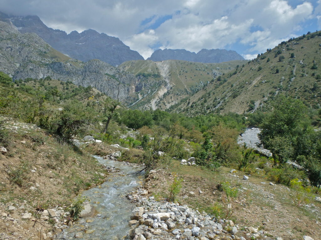 Arslanbob Walnut Forests