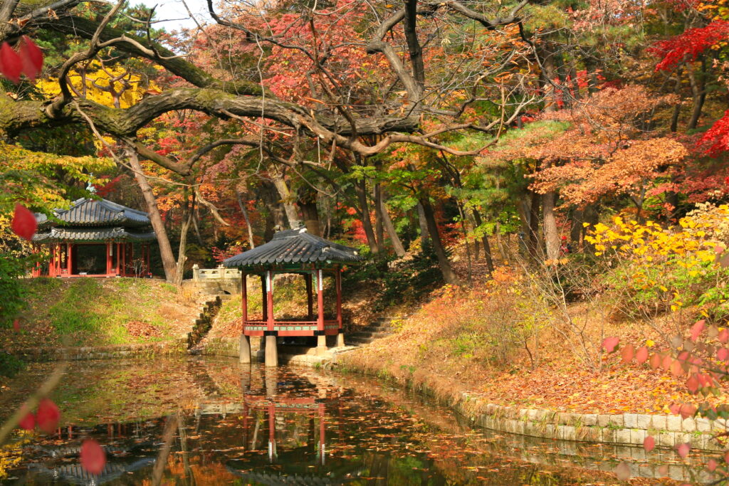 Changdeokgung Palace