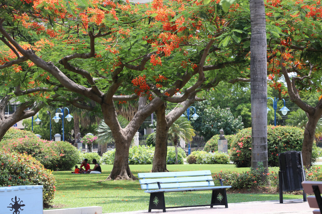 Emancipation Park