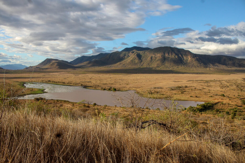 Mkomazi National Park