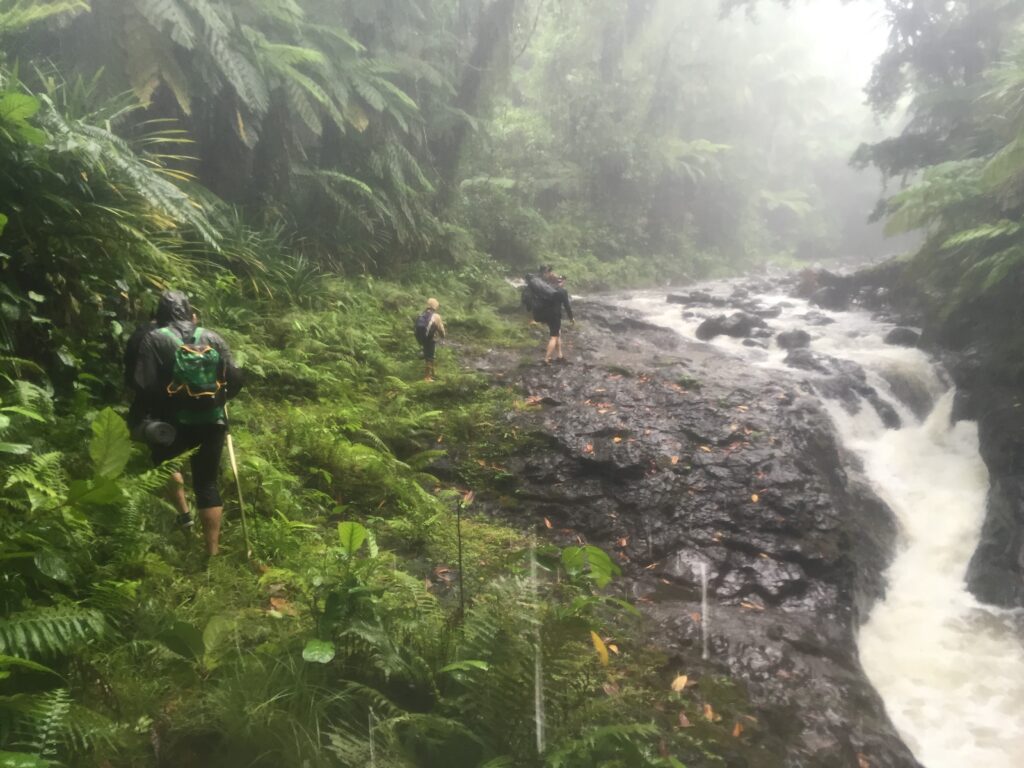 Pohnpei Jungle Trek