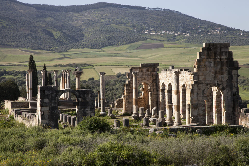 Roman Ruins Of Volubilis