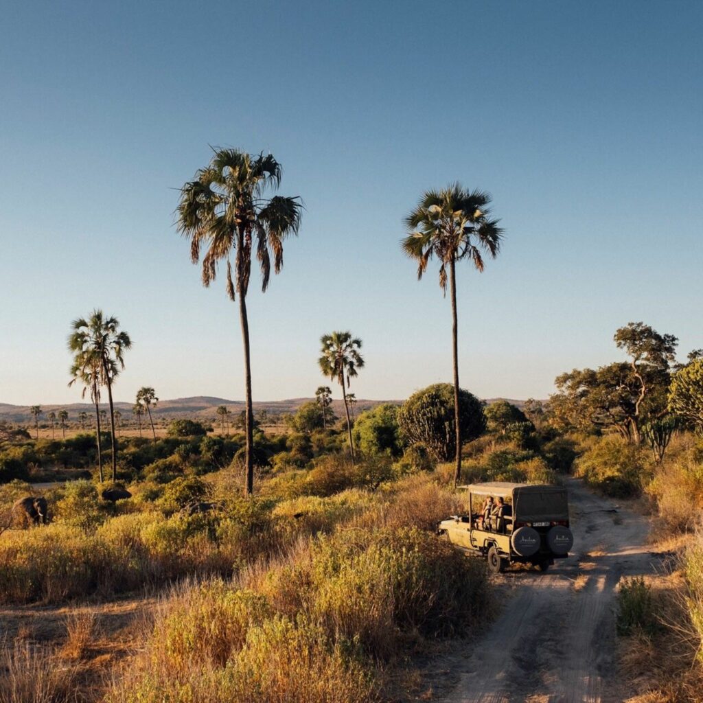 Ruaha National Park