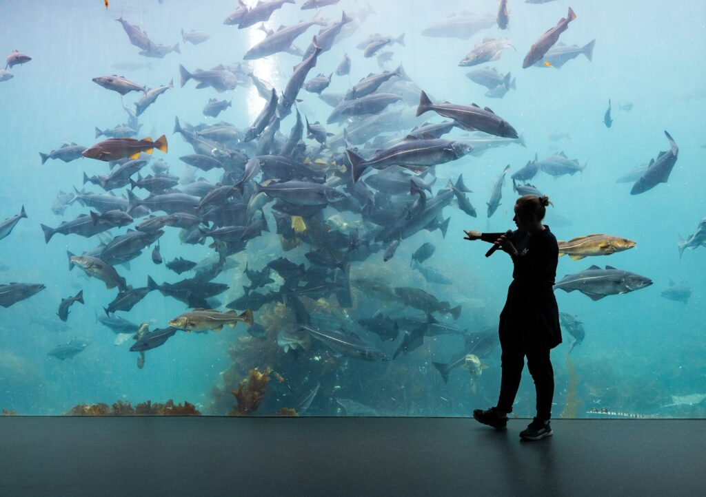 The Murmansk Sea Aquarium